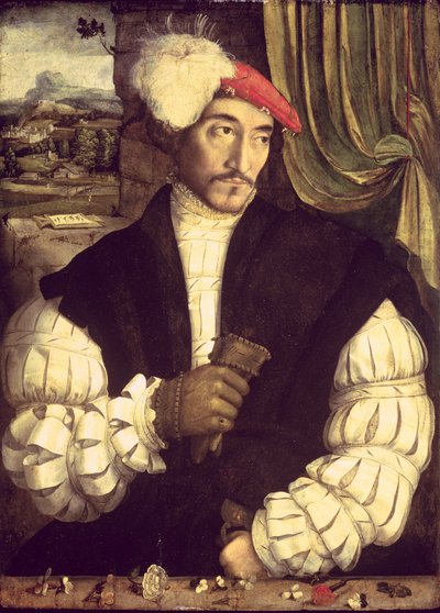 Ritratto di un uomo, 1533 da Jorg I Breu