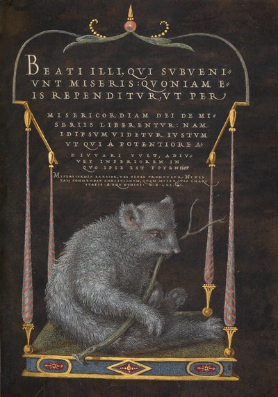 Un bradipo da Joris Hoefnagel