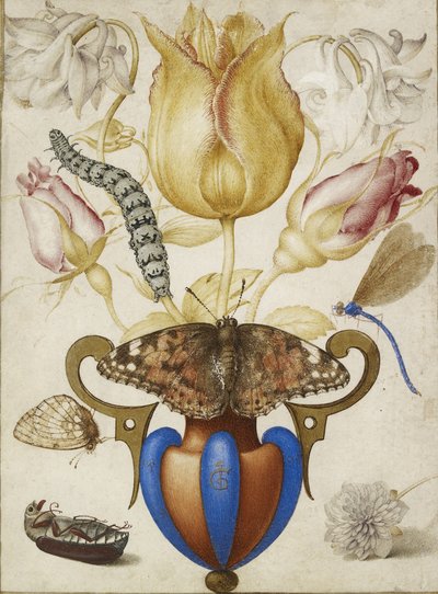 Composizione di fiori in un vaso, con insetti, 1594 da Joris Hoefnagel