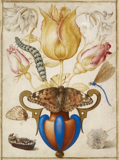 Composizione di fiori in un vaso, con insetti, 1594 da Joris Hoefnagel