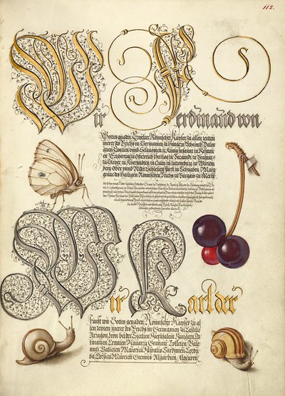 Farfalle, ciliegie e lumache di terra da Joris Hoefnagel