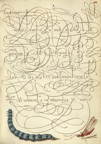 Bruco e insetto da Joris Hoefnagel