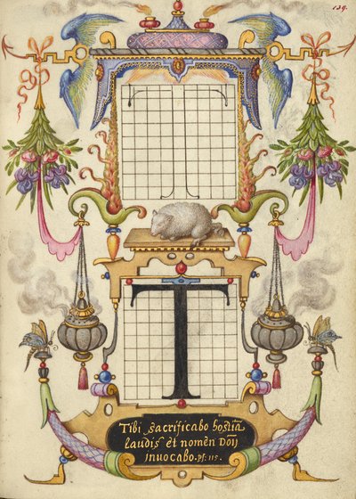 Guida alla costruzione della lettera T da Joris Hoefnagel