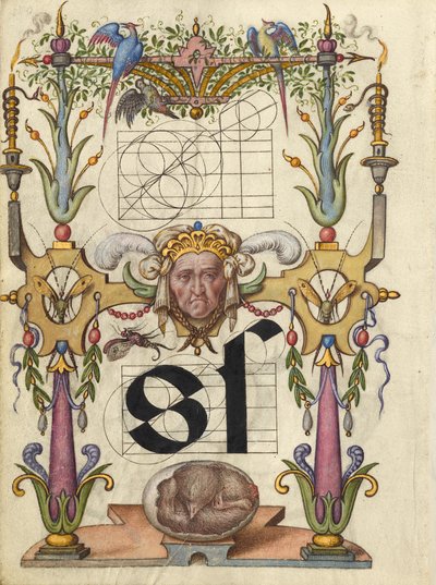 Guida alla costruzione della lettera s da Joris Hoefnagel