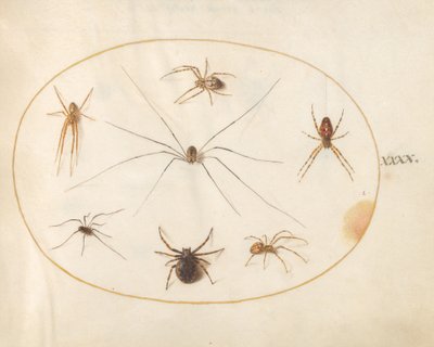 Otto Ragni da Joris Hoefnagel