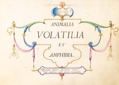 Pagina del Titolo da Joris Hoefnagel
