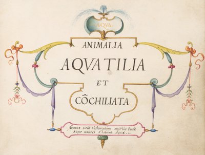 Pagina del titolo da Joris Hoefnagel