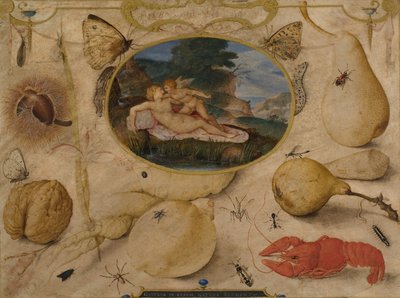 Venere disarma Amore in un medaglione circondato da piante, frutti, insetti e crostacei, c. 1595 da Joris Hoefnagel
