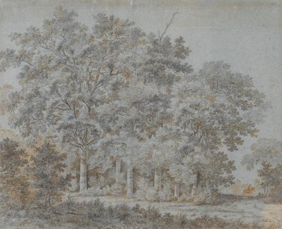 Foresta e cavaliere da Joris van der Hagen