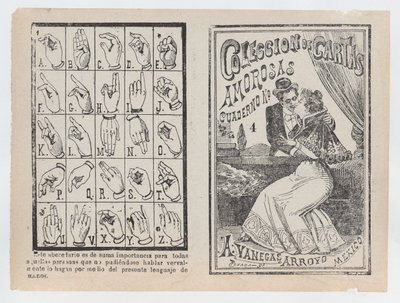 Copertina per 