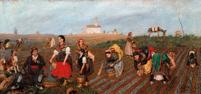 La raccolta dello zafferano (dettaglio). Dipinto di Jose Albinana Bru (XIX secolo). 1877. Valencia. Museo delle Belle Arti San Pio V. da Jose Bru Albinana