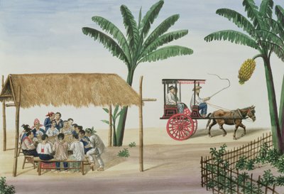 Immagine Sconosciuta da Jose Honorato Lozano