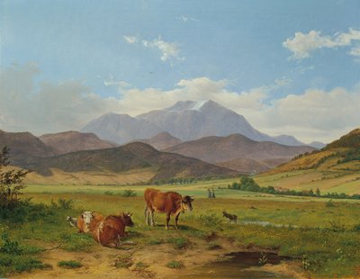 Paesaggio con Schneeberg da Josef Feid