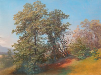 Gruppo di alberi sul Mönchsberg a Salisburgo da Josef Holzer