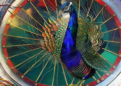 Animali: pavone 3 da Josef Johann Michel