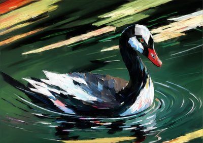 Animali: cigno nero 1 da Josef Johann Michel