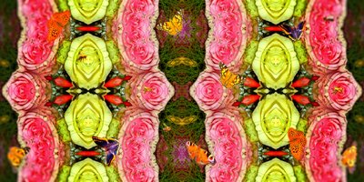 Creature: Api e farfalle nel giardino delle rose da Josef Johann Michel