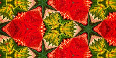 Creature: Api nel giardino delle rose da Josef Johann Michel