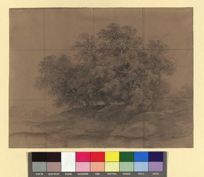 Gruppo di alberi - con griglia di ingrandimento da Josef Kriehuber