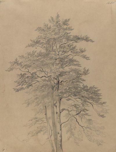  da Josef Kriehuber