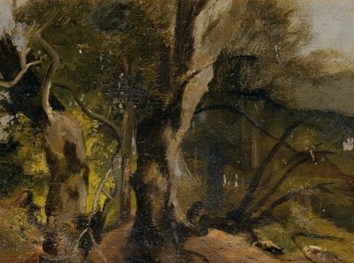 Studio di foresta da Josef Navrátil