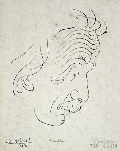 Albert Einstein da Josef Scharl