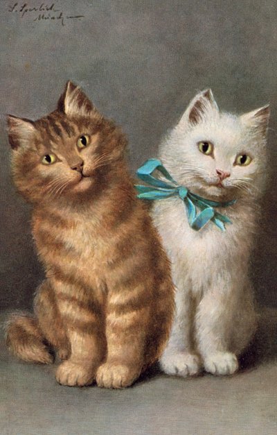 Cartolina di gatti da Josef Sperlich