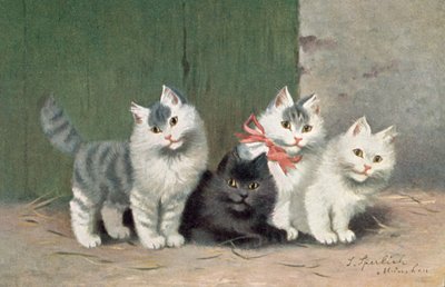 Cartolina di gatti da Josef Sperlich