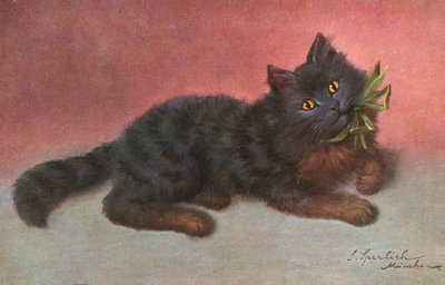 Cartolina del gatto da Josef Sperlich