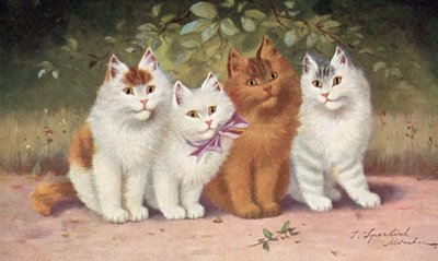 Cartolina del Gatto da Josef Sperlich