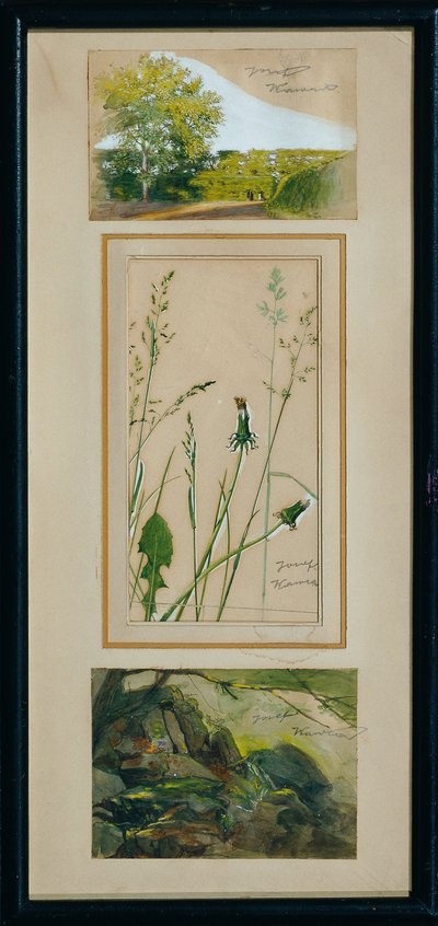 Studi dalla natura da Josef Wawra