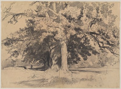 Alberi alti presso Böding da Josef Wenglein