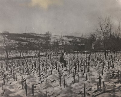 Cimitero militare da Josef Zohles