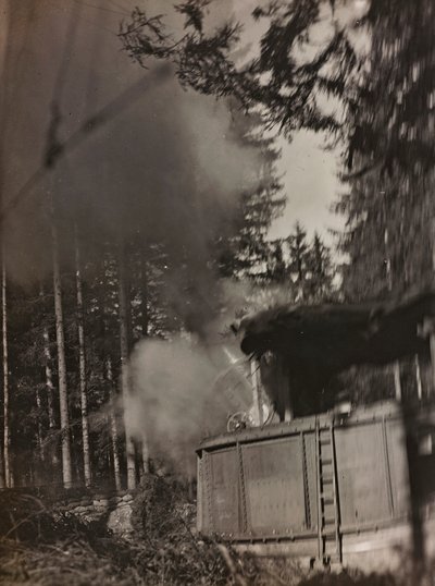 Un mortaio Morser in azione da Josef Zohles