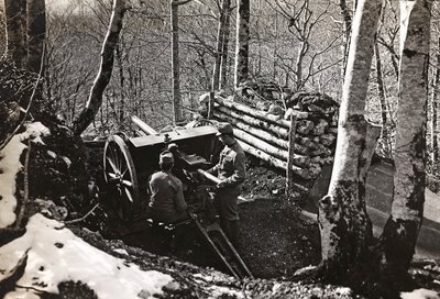 Soldati con cannone da Josef Zohles