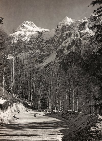 Album "Meine weltkriegs - Erinnerungen South-West Front (Carinzia, Italia, Trentino-Alto Adige) 31/03/1915-12/11/1918 - Josef Zohles Wien": strada di montagna da Josef Zohles