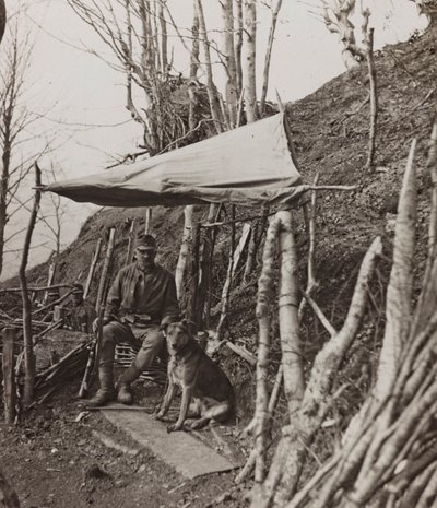 Album "Meine weltkriegs - Erinnerungen South-West Front (Carinzia, Italia, Trentino-Alto Adige) 31/03/1915-12/11/1918 - Josef Zohles Wien": cane militare sotto una tenda (foto b/n) da Josef Zohles