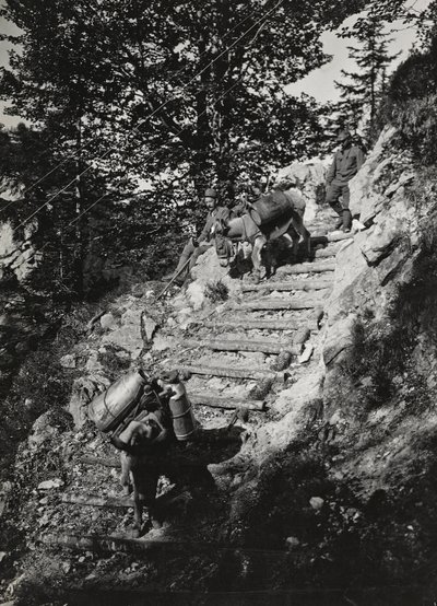Album "Meine weltkriegs - Erinnerungen South-West Front (Carinzia, Italia, Trentino-Alto Adige) 31/03/1915-12/11/1918 - Josef Zohles Wien": muli dell