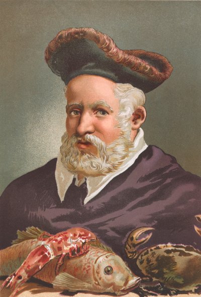 Guillaume Rondelet da Josep or Jose Planella Coromina