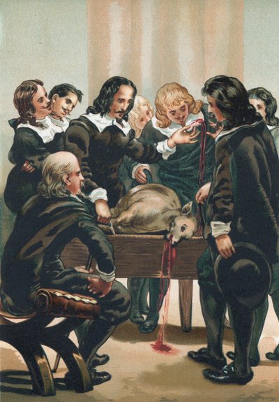 William Harvey dimostra la circolazione del sangue da Josep or Jose Planella Coromina