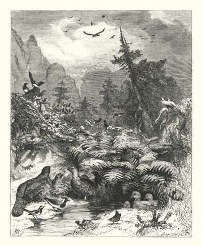 Ricerca di Dio da Joseph (after) Wolf
