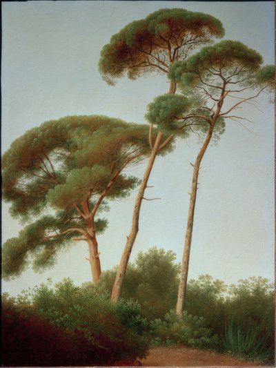 Pini da Joseph August Knip