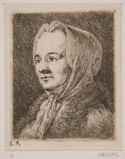 Ritratto di una donna di mezza età da Joseph Brecheisen