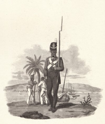 Un soldato del 5° Reggimento delle Indie Occidentali, c. 1812 da Joseph Constantine Stadler