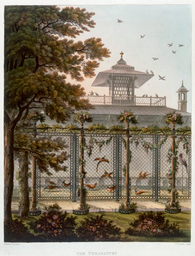 Il Fagiano, 1808 da Joseph Constantine Stadler