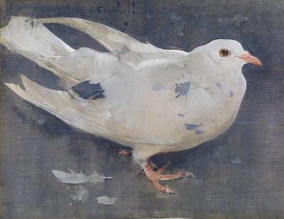 Il piccione da Joseph Crawhall