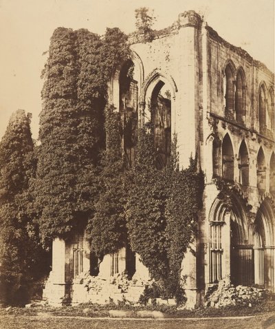Abbazia di Rievaulx. Vista generale da sud, 1850 da Joseph Cundall