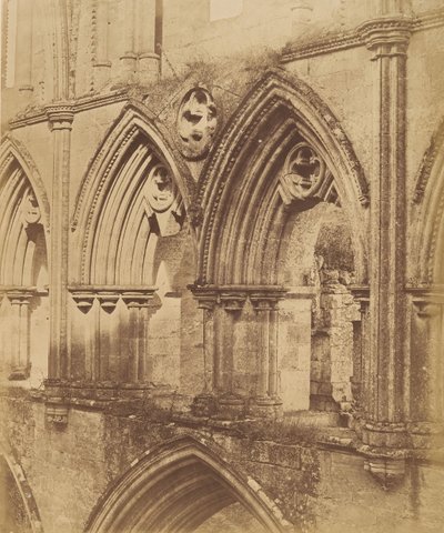 Abbazia di Rivaulx. Gli archi del triforio da Joseph Cundall