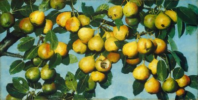 Pere maturanti da Joseph Decker