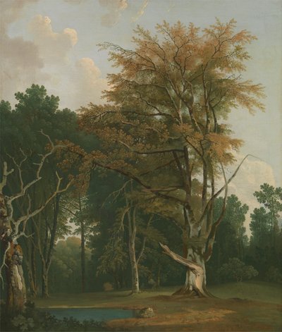 Alberi in una radura boschiva da Joseph Farington